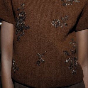 Zara Brown Embellished Knit Top